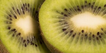 Quick Vegan Snacks for On the Go: Tasty Ideas for Busy Lifestyles