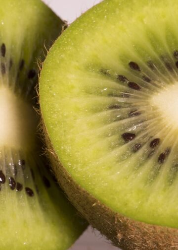 Quick Vegan Snacks for On the Go: Tasty Ideas for Busy Lifestyles