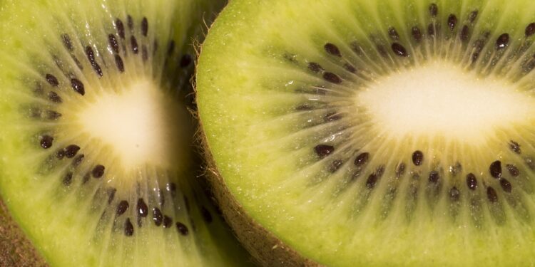 Quick Vegan Snacks for On the Go: Tasty Ideas for Busy Lifestyles