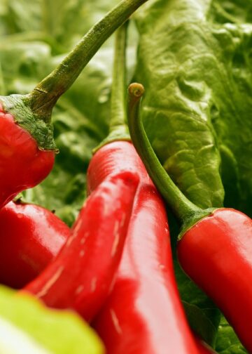 Maximize Your Meal Prep: Flavorful Vegan Freezer Meals You Can Make Today