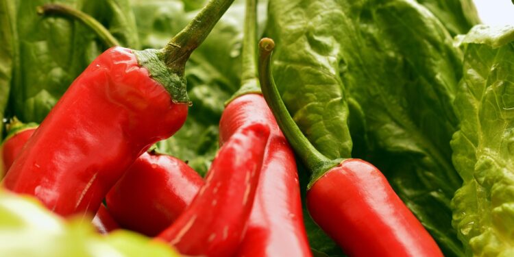 Maximize Your Meal Prep: Flavorful Vegan Freezer Meals You Can Make Today