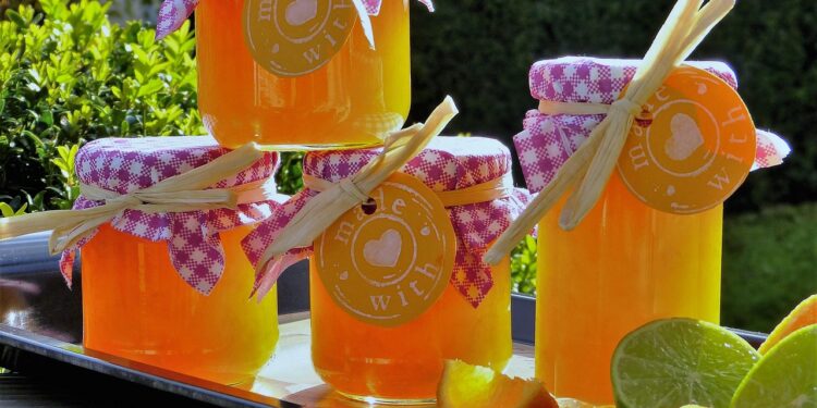 Unlock the Magic of Vegan Instant Pot Recipes: Delicious Meals in Minutes