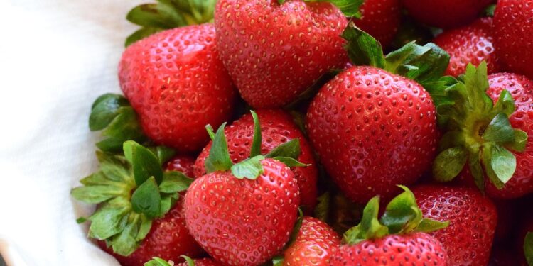 Why Ethical Vegan Products Are the Future of Sustainable Consumption