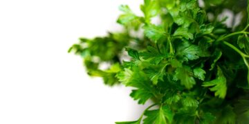 Discover Easy and Delicious Recipes in Our 7 Day Vegan Meal Plan