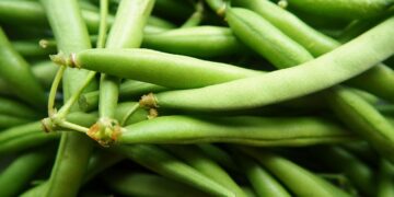 Unlock Vibrant Health with a 30 Day Vegan Meal Plan: Your Ultimate Guide