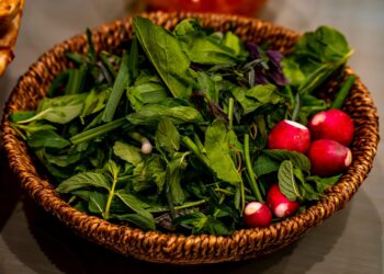 Exploring the Ethical Vegan Lifestyle: A Path to Compassionate Living