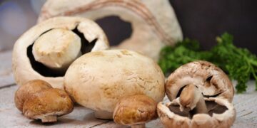 Save Time and Eat Healthy with Quick Vegan Meal Prep Ideas