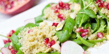 Unlock the Secrets of Vegan Meal Prep Ideas for a Healthier Lifestyle