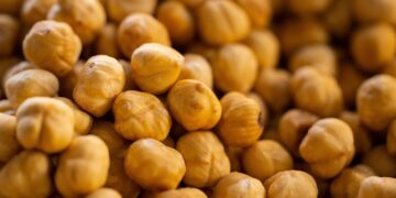 Unlock the Power of Protein: The Top Protein-Rich Foods for Your Diet