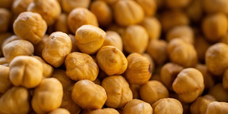 Unlock the Power of Protein: The Top Protein-Rich Foods for Your Diet