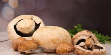 Discover the Benefits of Plant-Based Eating with the 30 Day Vegan Meal Plan