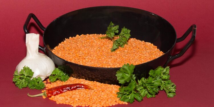 Unlock the Power of Vegan Protein Sources: A Guide to Optimal Health