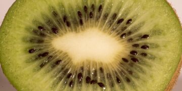 Maximize Your Health: The Monthly Vegan Meal Planner Guide