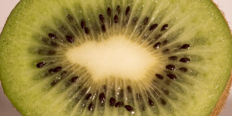 Maximize Your Health: The Monthly Vegan Meal Planner Guide