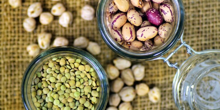 Easy Beginner Vegan Meal Plan Recipes for a Healthy Start