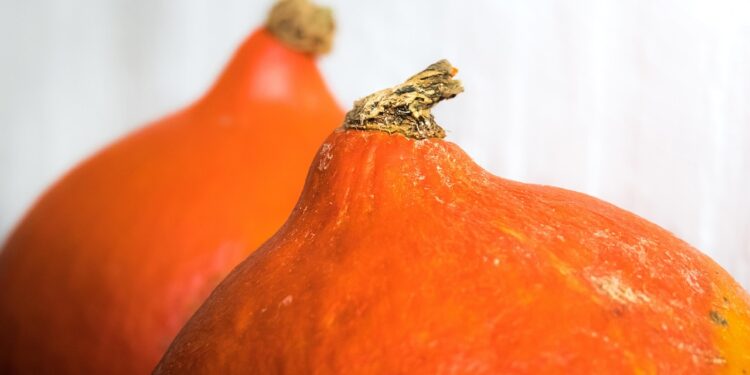 Unlock the Secret to Slimming Down with a Vegan Meal Plan for Weight Loss