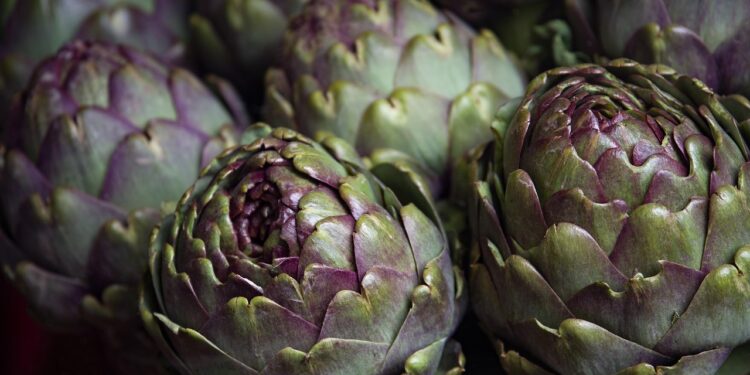 Transform Your Home: The Ultimate Guide to Vegan Home Essentials