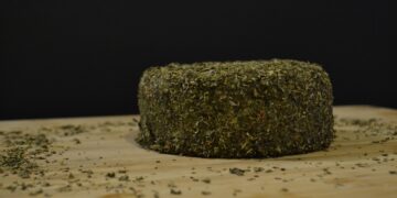 Transform Your Diet with Easy Plant-Based Meal Planning Tips