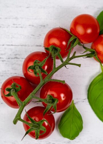 Fueling Champions: How a Vegan Meal Plan for Athletes Boosts Stamina and Strength