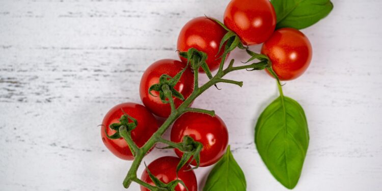 Fueling Champions: How a Vegan Meal Plan for Athletes Boosts Stamina and Strength