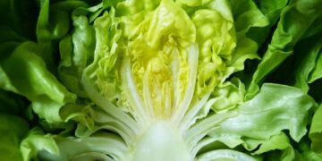 Mastering Weight Loss: Essentials of a Low Calorie Vegan Meal Plan