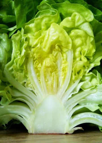 Mastering Weight Loss: Essentials of a Low Calorie Vegan Meal Plan