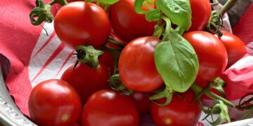 How to Stay Full and Satisfied on a High Protein Vegan Meal Plan