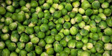 How Vegan Philosophy Shapes Our Food Choices and the Environment