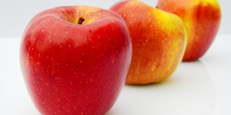 7 Days of Deliciousness: Your Family Friendly Vegan Meal Plan Guide