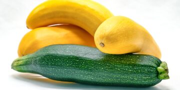 Unlocking the Joys of a Vegan Family Lifestyle: Tips for Happy