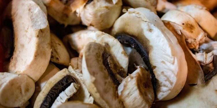 Discover the Best Jackfruit Recipes for a Vegan Feast