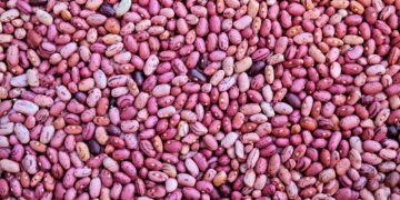 Unlock the Secrets of Heart-Healthy Foods for a Vibrant Life