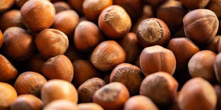 Unlock the Secrets of Immune-Boosting Foods for Radiant Health