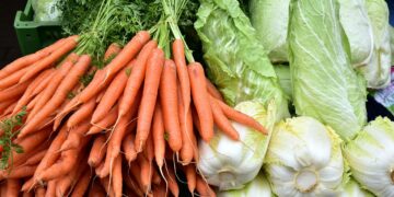 Mastering Vegan Meal Planning: A Step-by-Step Guide