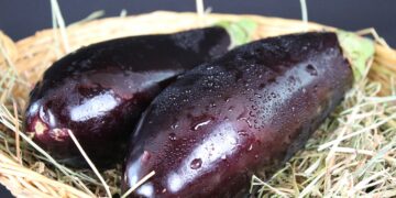 Unlock the Secret to Stress-Free Mornings with These Vegan Breakfast Ideas for Meal Prep