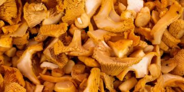 Transform Your Diet: A Complete Guide to the 7 Day Vegan Meal Plan