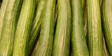 Save Time and Money with These Vegan Meal Prep Tips