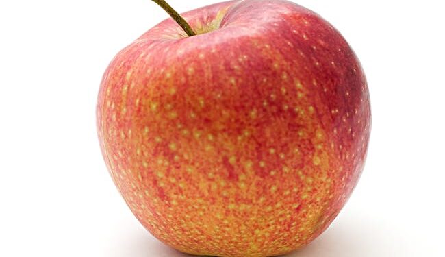 Unlocking Weight Loss Success: The Top 10 Nutrition Plans for Shedding Pounds