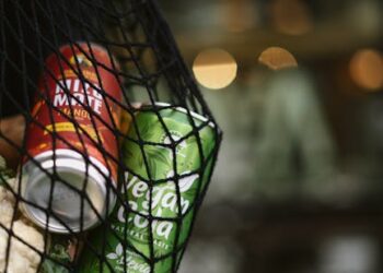 7 Easy Ways to Embrace Veganism and Sustainability in Your Daily Diet