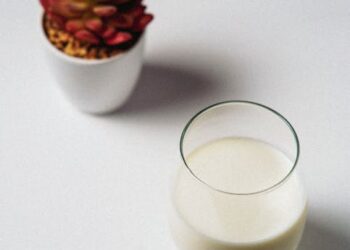 7 Easy Vegan Lifestyle Tips for Beginners