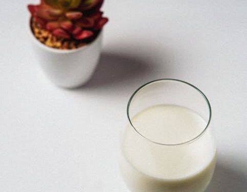 7 Easy Vegan Lifestyle Tips for Beginners