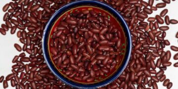 10 Easy Vegan Lunch Ideas for Busy Weekdays