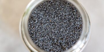 Unlock Your Health: 5 Surprising Benefits of Protein-Rich Foods