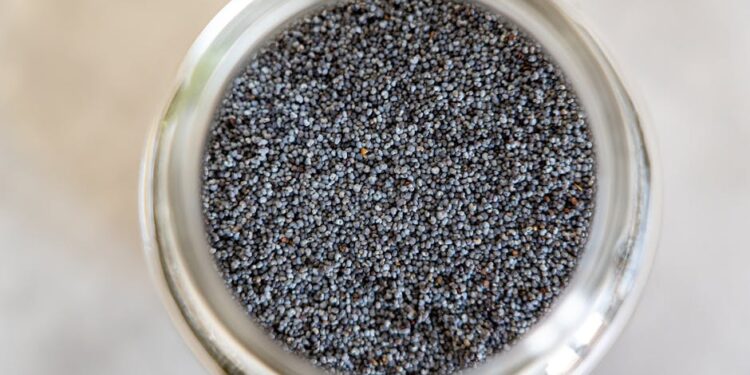 Unlock Your Health: 5 Surprising Benefits of Protein-Rich Foods