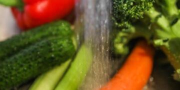 Top 10 Easy Vegan Meal Planning Tips for Busy Professionals