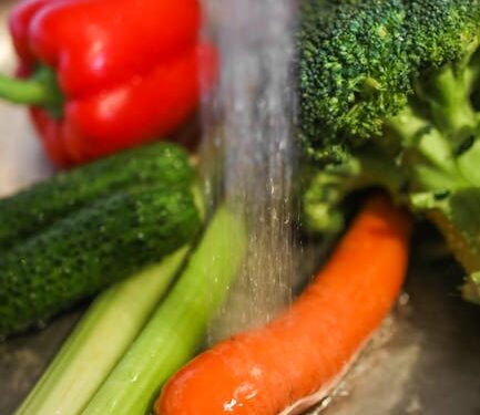 Top 10 Easy Vegan Meal Planning Tips for Busy Professionals