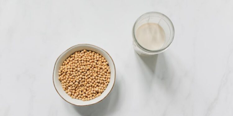 Discover the Top Benefits of Vegan Food for a Healthy Lifestyle