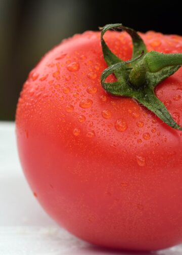 Master Your Week with These Vegan Meal Prep Ideas