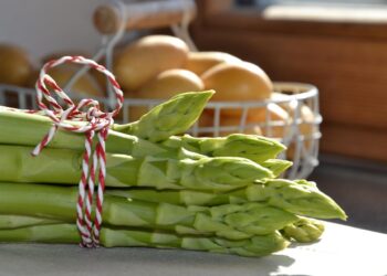 Embracing a Compassionate Diet: Vegan Lifestyle Tips for Beginners