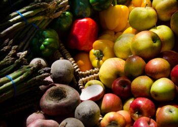 How to Cook Tofu for Beginners: Vegan Recipes Made Easy